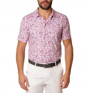 Robert Graham Brockman Polo Berry | 392XWICFN