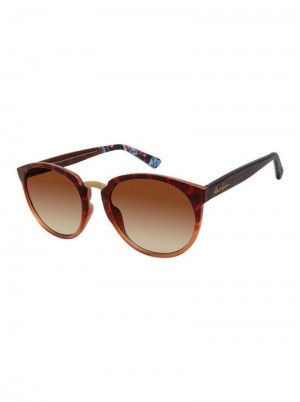 Robert Graham Exuma Sunglasses Tortoise | 738ATUYZH