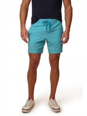 Robert Graham Laken Swim Aqua | 864RTQPZI