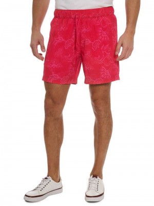 Robert Graham Sator Swim Magenta | 820QJXTGR